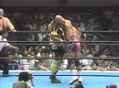 wrestlingchampions:  Champion vs. Champion: The Steiner Brothers (WCW World Tag Team) d. Big, Bad and Dangerous (IWGP Tag Team) to  win the IWGP Tag Team Championship - NJPW Masters of Wrestling 1992 
