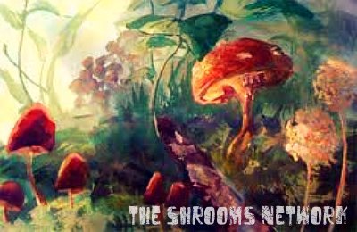 olchrmn-blog:  The Shrooms Network Accepting porn pictures