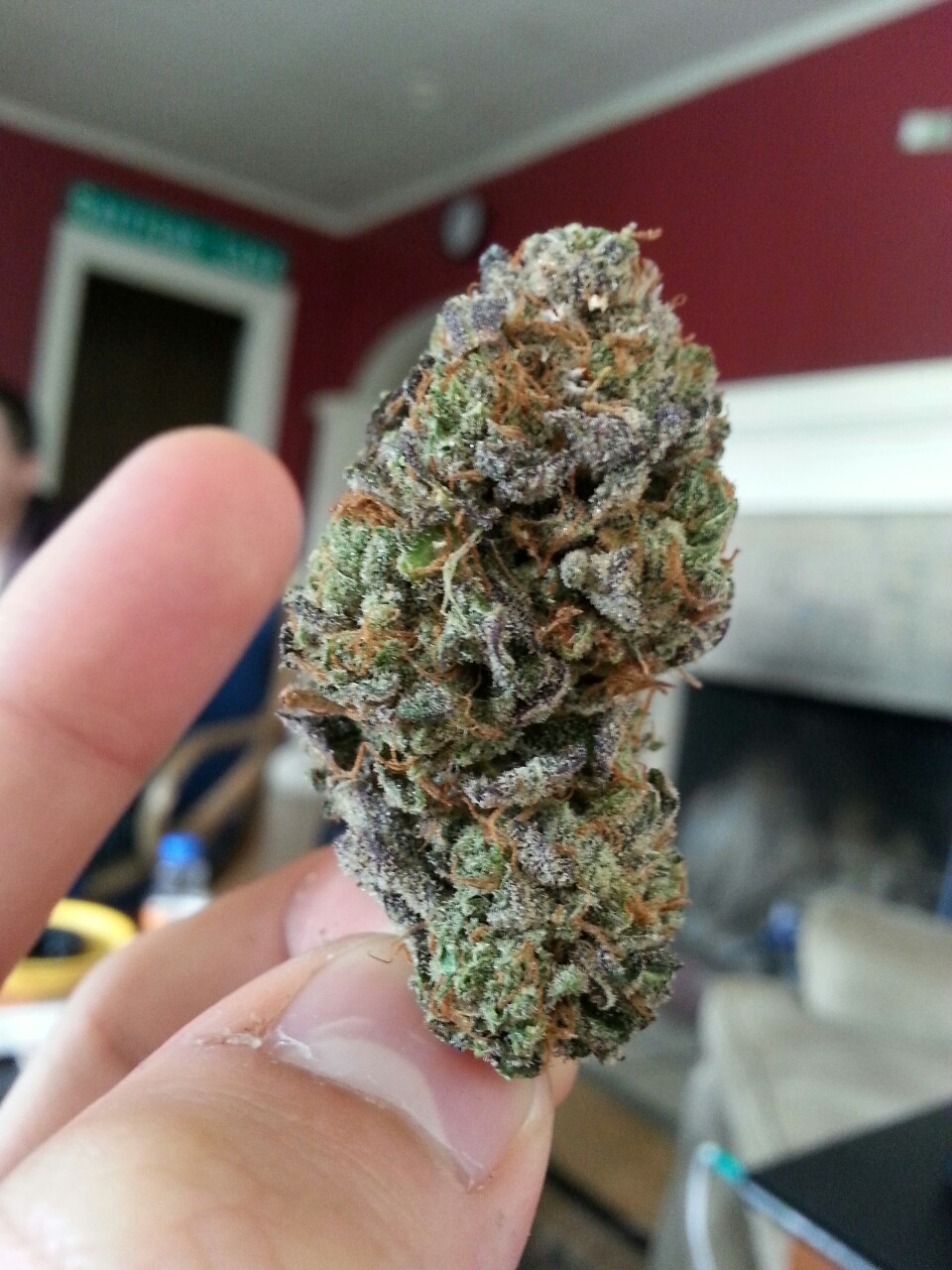 shesmokesbong:  notevenhigh:  No flash, just crystals  It looks like blackberry kush!