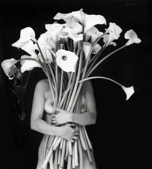 mielleries: Nude With Calla Lilies, Diego Rivera (left); Abrazo de Luz, Flor Garduño (right)