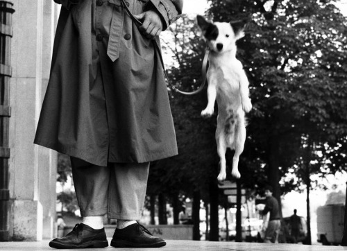 Elliott Erwitt - Paris, 1989.