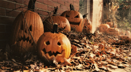 pumpkinrothalloween:A technique for layering your jackos if you don’t have any steps to put them on…