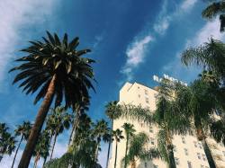 I&rsquo;m not trying to blow up everyone&rsquo;s IG feed! I just want to share that today is by far one the best days this year- this is my view.  I&rsquo;m laying poolside by my favorite person on this planet.. laying under the hot sun with a beautiful