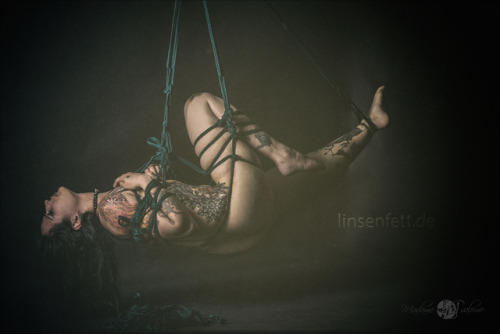 In the BalanceModel: Black ButterflyRopes: Madame SalomePicture: Linsenfett