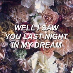 lyrics-and-music:  Flowers Where Your Face Should Be // The Wonder Years