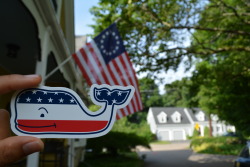 ostrichesandoxfords:  Red Whale and Blue.