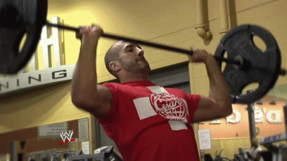 olewrestling:  SWISS SUPERMAN