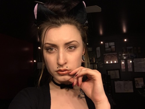 -miranda-ann:  • meow 😸•