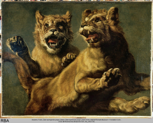 Frans Snyders, Two jumping young lions, 1651/1700. Oil on canvas. Antwerpen. Wallraf-Richartz-Museum