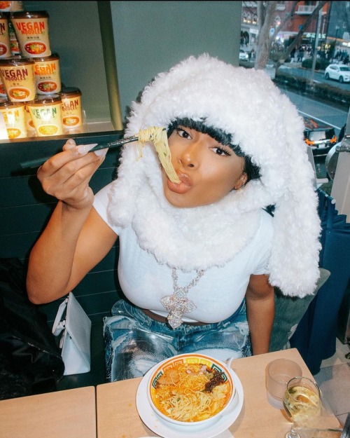 The Beautiful Meg Thee Stallion
