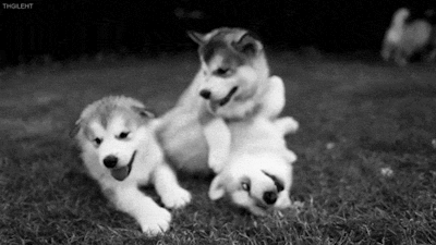 amandamentyle:  Cute | via Tumblr på We Heart It.  i&rsquo;m not sure if i feel