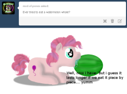 ask-miss-pinkie:  OMNOM MELONZ Stallion 2/5