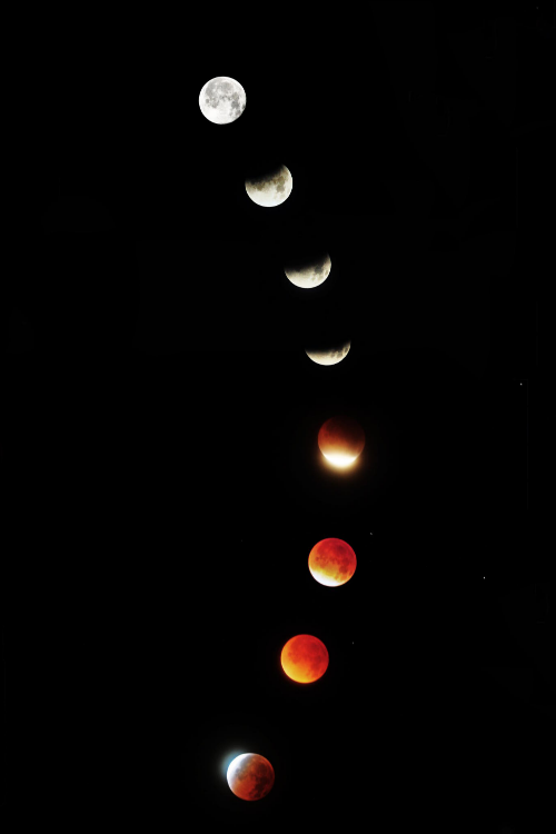 Sex expressions-of-nature:  eclipsed : John Dale pictures