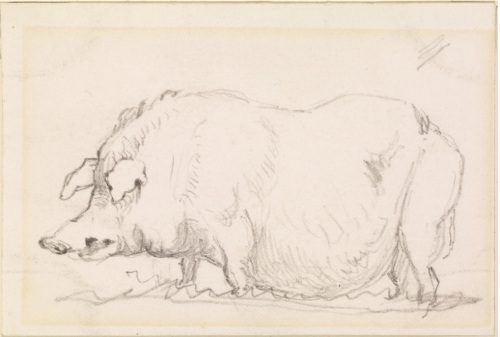 Frederick Santys, animal studies:  and Sow and three Pigs, 1858. England. Via Birmingham Museums.