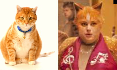 Cats 2019 As Real Cats Because Why Not. Part 2 The Queens.