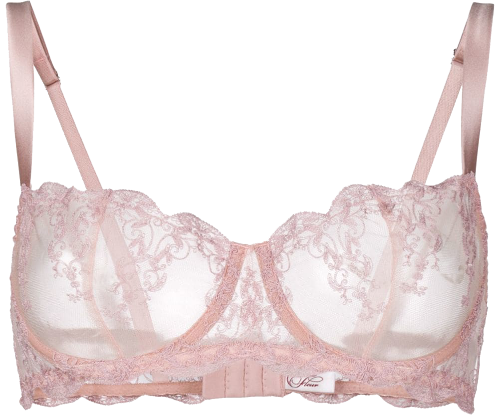 transparent lingerie fleur of england bra 163 105 Tumblr Pics