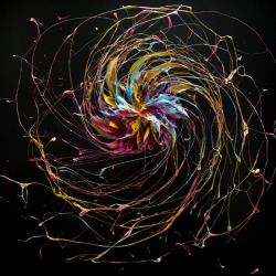 devidsketchbook:  CIRCLES BY MARCEL CHRIST &ldquo;Circles&rdquo; this personal series of Marcel Christ (behance / facebook), which puts bright viscous paints to motion. 
