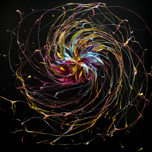 devidsketchbook:  CIRCLES BY MARCEL CHRIST “Circles” this personal series of Marcel Christ (behance / facebook), which puts bright viscous paints to motion. 