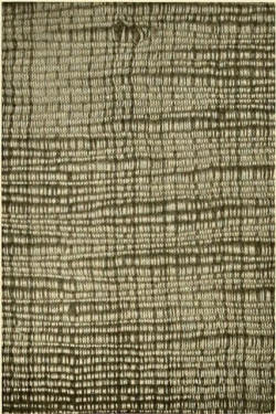 mizisham:  Image from page 88 of “Decorative textiles; an illustrated book on coverings for furniture, walls and floors, including damasks, brocades and velvets, tapestries, laces, embroideries, chintzes, cretones, drapery and furniture trimmings, wall