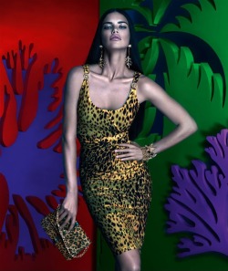 wikoni:  adriana lima |w| versace   riachuelo |w| mert &amp; marcus