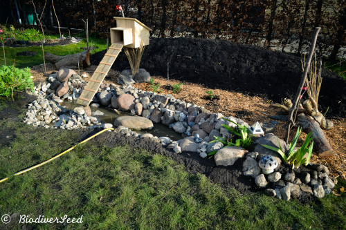 biodiverseed:Stormwater Pond and Mallard HouseDenmark // Zone 8Many things have come together over t