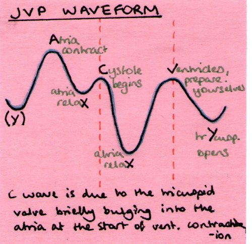 post-it-note-medicine:  I can never remember what the different bits are on a JVP wave so here is a 