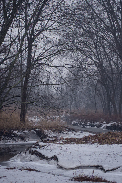 Fog and Ice by jessicakizmann on Flickr.