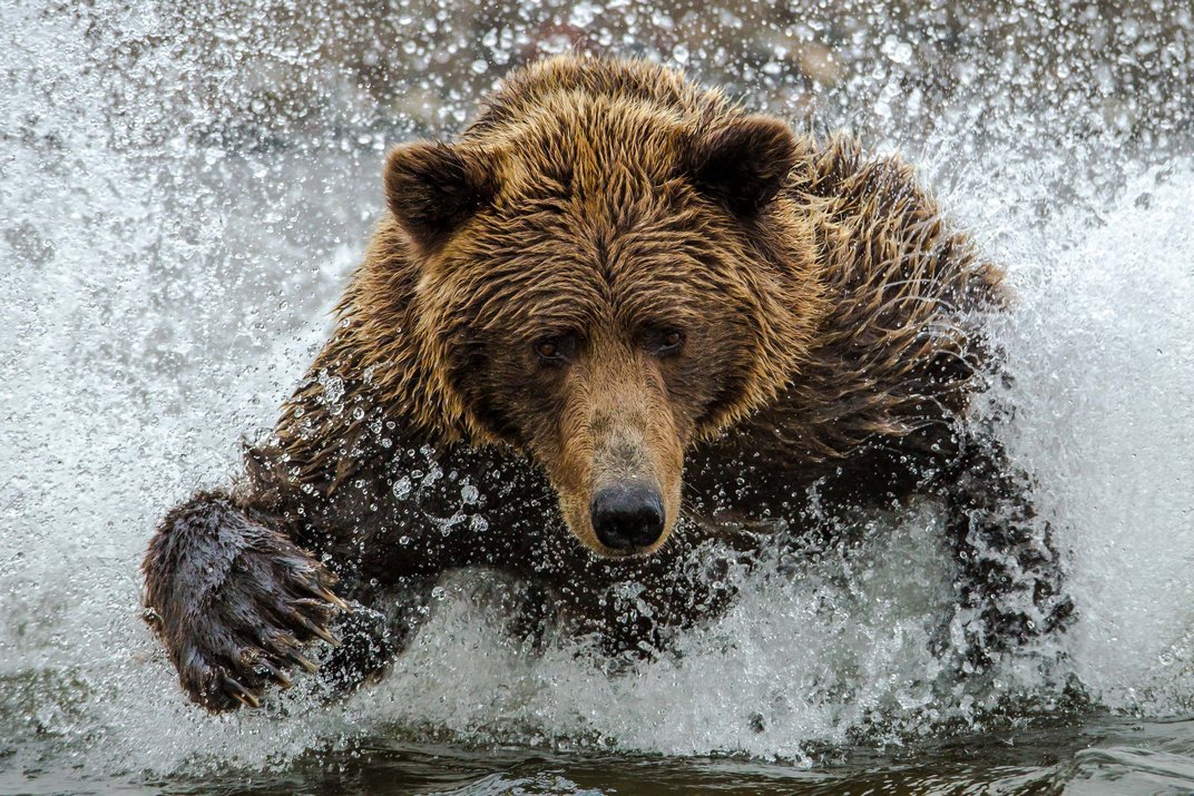 staceythinx:  The finalists have been announced for this year’s Smithsonian Photo