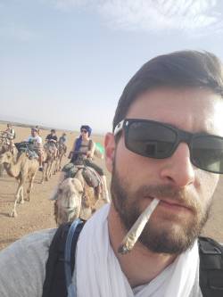 weed-took-me-to-amsterdam:  veraisastoner:  empire420:  How’s this for a smoke spot? At 7am on a camel in the Moroccan desert  tooo down  GOALS 