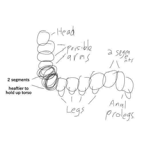 askmaggiemonster: More trying to get down caterpillar anatomy