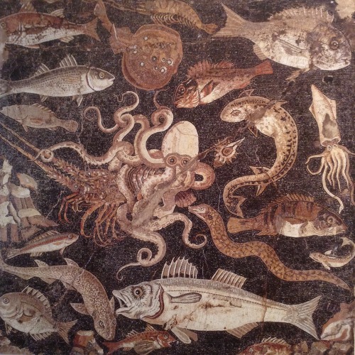 shatteryourleaves: Mosaics removed from Pompeii and currently on display at the National Archaeology