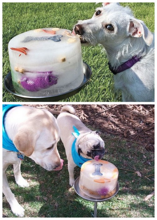 DIY Ice Lick or Dogsicle for Dogs. *EDIT: This is the Cool Dogz but I’m having trouble finding out w