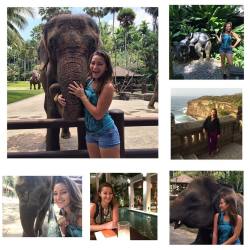 missdanidaniels:  #throwback- Bali 😁✨🐘