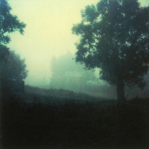 nobrashfestivity:  Polaroids by Andrei Tarkovsky 