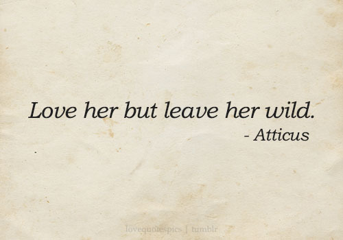 Love Quotes Pics Love Her But Leave Her Wild Atticus