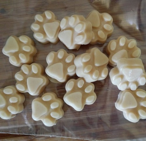 Yogurt peanut butter banana frozen treats (for dogs)! I just pureed 32 oz plain yogurt with 3-4 tabl