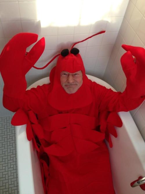 starshipspirk:revfrog:tenaflyviper:If you can’t find a place on your blog for Patrick Stewart 