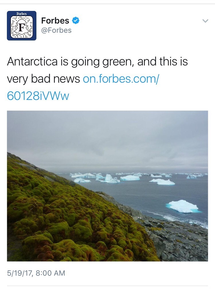 weavemama: miss earth is broken and humans have truly let her down