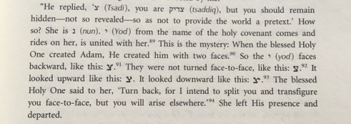 From Haqdamat Sefer ha-Zohar, 1:3b, Pritzker Edition translation of The Zohar