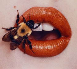 nevver:  Irving Penn 