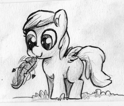 1st Part (½) of my Season 6 finale pony meetup request drawing dumpGotta  say. That was by far the most fun I had at a meetup, I wasn’t sure if I  was going to enjoy myself or if it would be any fun. But I had a great  spot to sit and draw, plenty