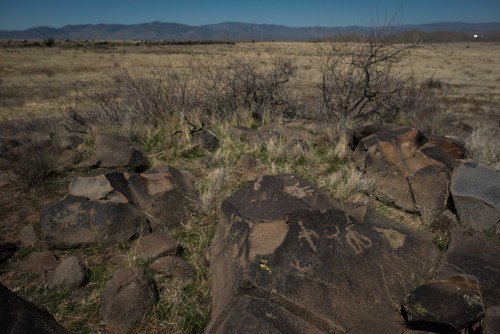 Near one of the agave farms, these glyphs depict life on Perry Mesa. But as you can see, low lifes h