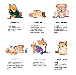 lillayfran:Reblog and tag yourself! What’s the level of your cuteness?