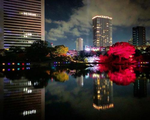 ＼庭園イベント情報／ 東京都港区・浜松町の #大名庭園 『旧芝離宮恩賜庭園』で7/25(木)～7/27(土)の3日間、庭園ライトアップイベント『江戸夏夜会』が開催されます 昨年秋の初の紅葉ライトアップ