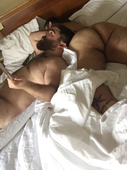 ilovebearsposts:  http://ilovebearsposts.tumblr.com/archive