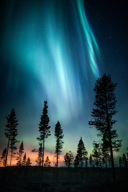 s-m0keys:Northern Lights in Muonio, Finland.By - imikegraphics