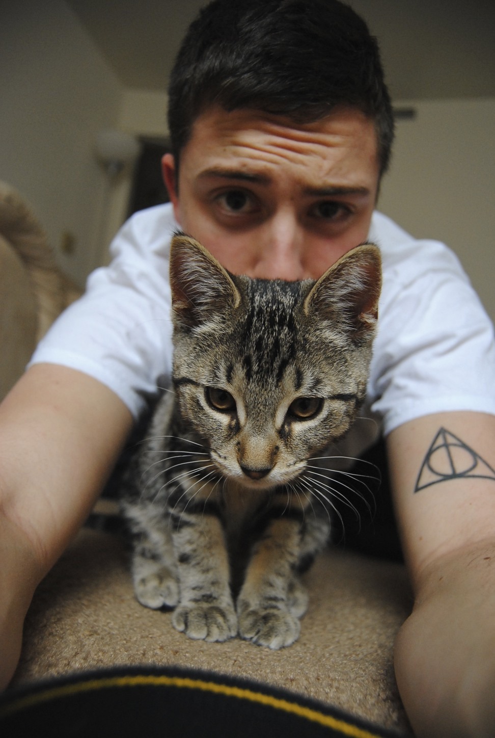 bloodyhellhptattoos:  Deathly Hallows and cat. 