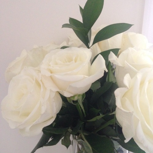 softandlittle:These roses really opened up beautifully.