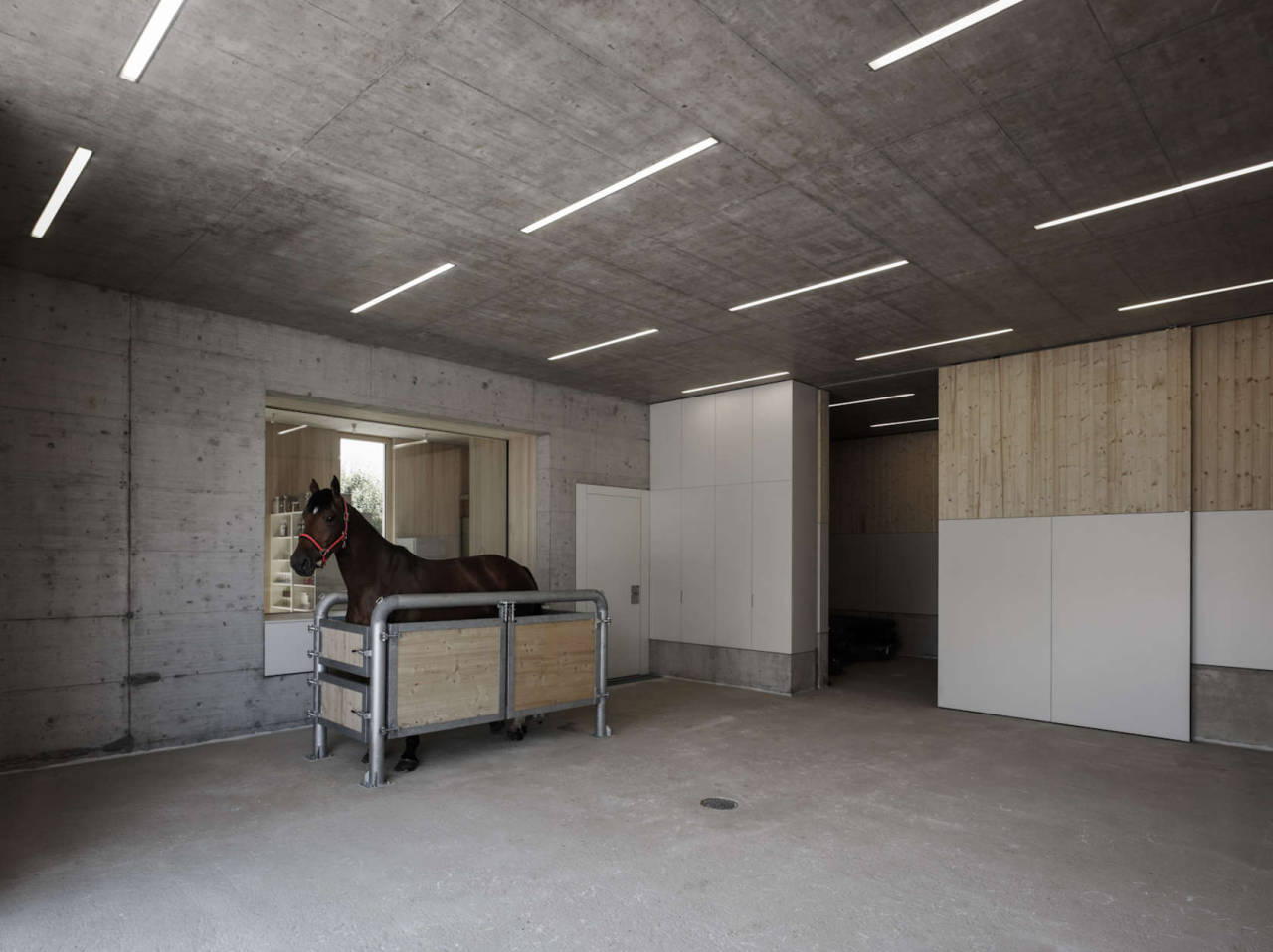 subtilitas:  marte.marte - Griss equestrian veterinarians, Rankweil 2014. Via, photos