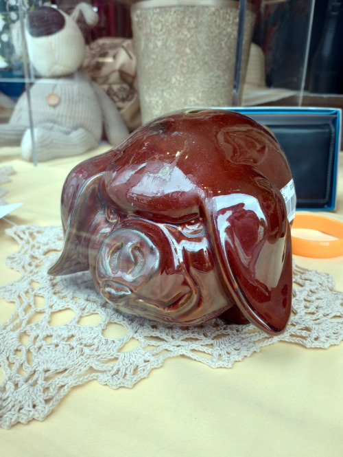 A remarkably cross looking piggy bank. In the Mare And Foal charity shop, in Bovey Tracey, UK.